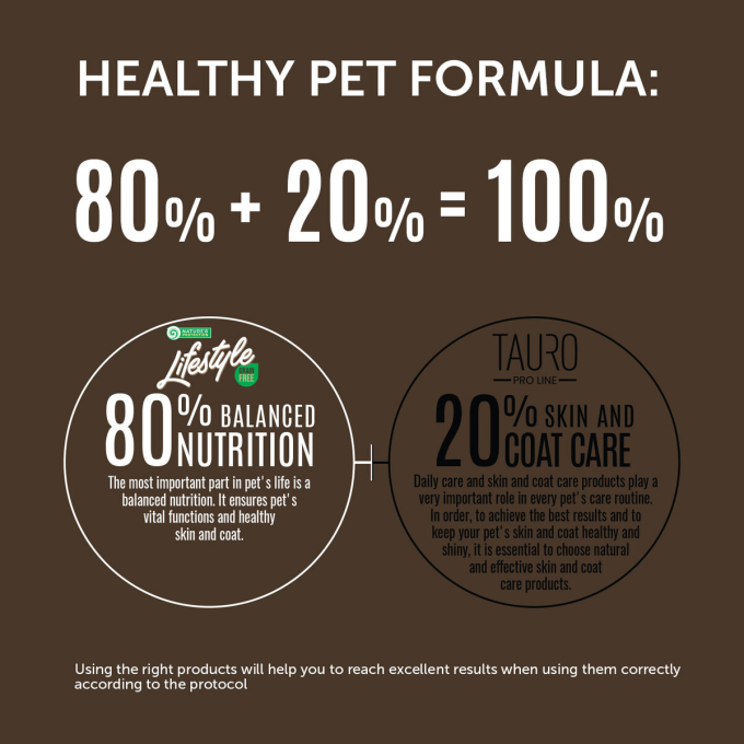 complementary grain free feed – snacks for adult dogs with salmon - 4