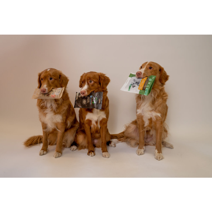 complementary feed - snacks for adult dogs of all breeds with poultry - 3