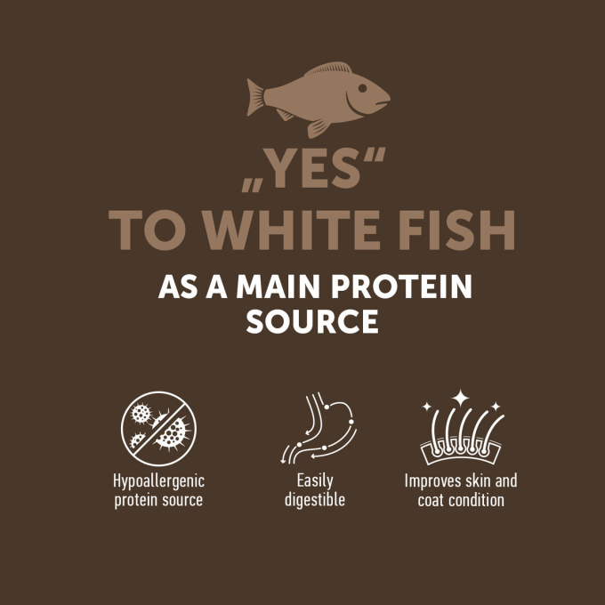 complementary grain free feed – snacks for adult dogs with white fish - 1