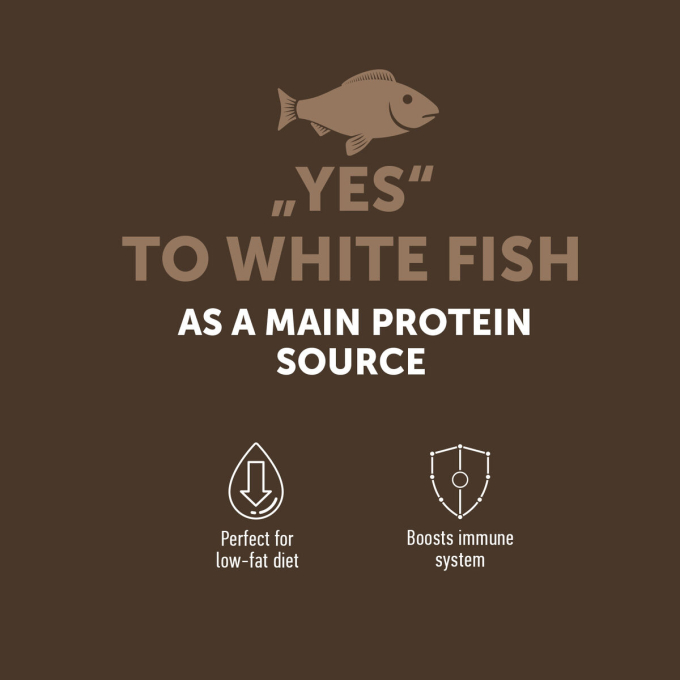 complementary grain free feed – snacks for adult dogs with white fish - 2