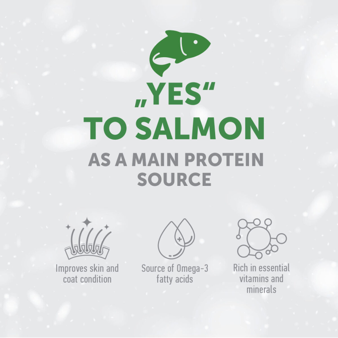 complementary grain free feed – snacks for adult dogs of all breeds with red coat with salmon - 2