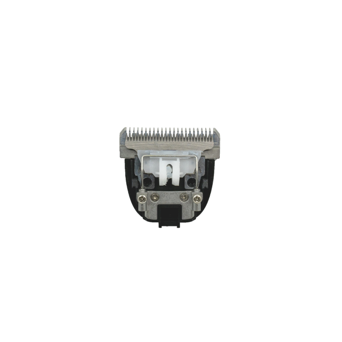 interchangeable head - 1