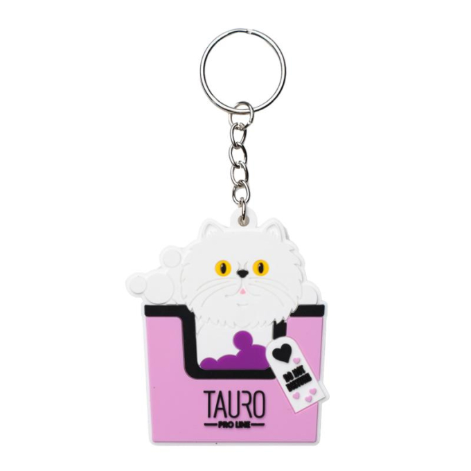 keychain - 0