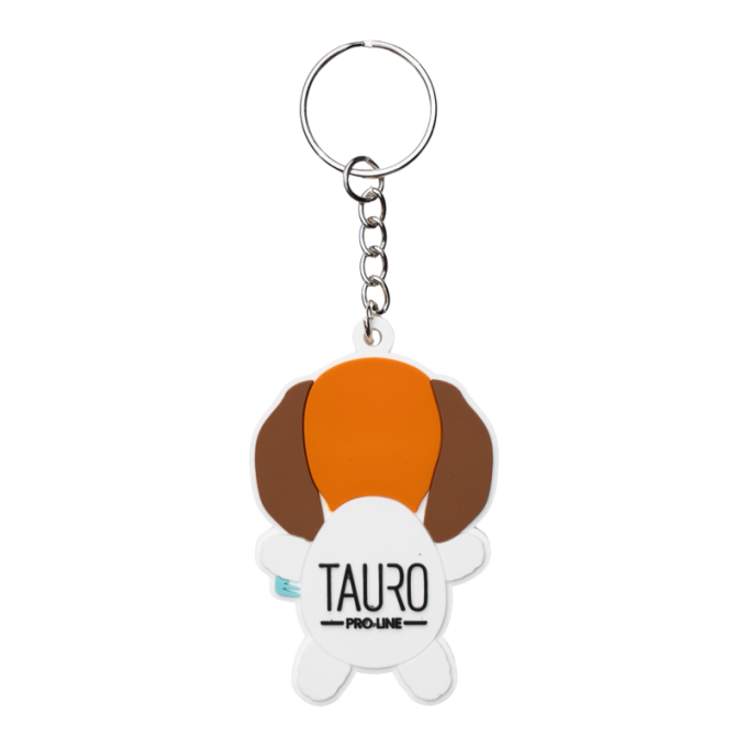 keychain - 1