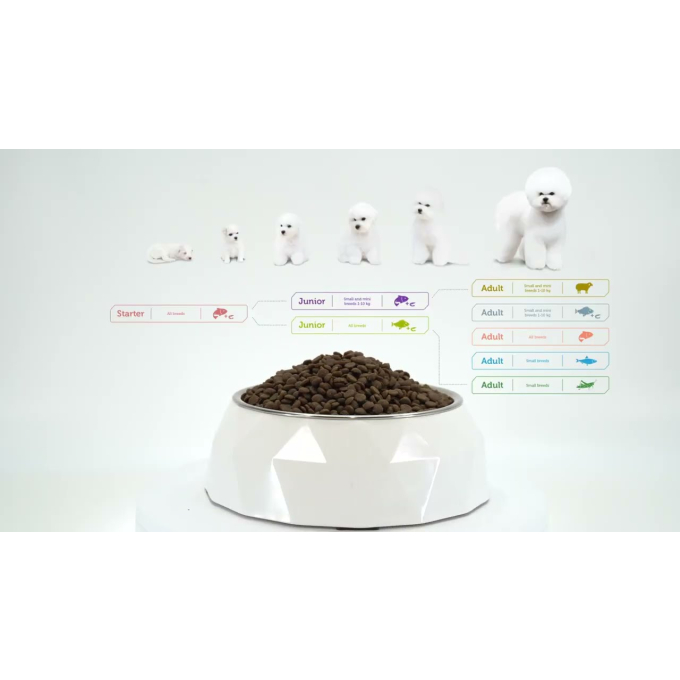 complementary grain free feed – snacks for adult dogs with salmon - 6