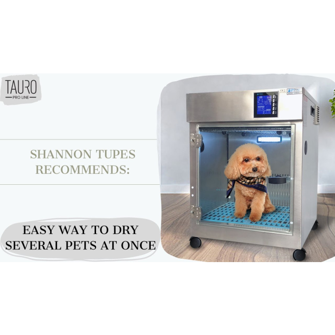 Pet drying machine - 5