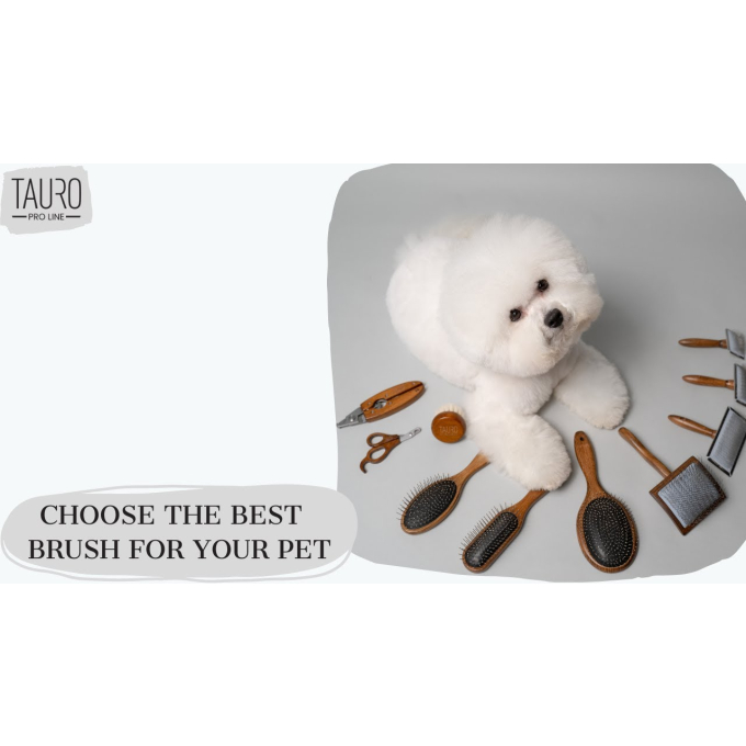 Nail clippers - 5