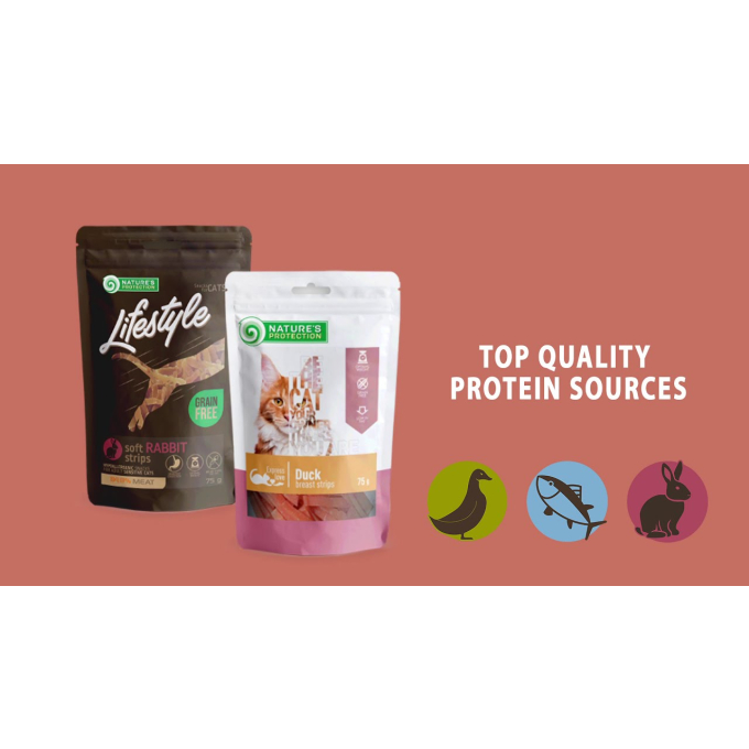 snack for cats with chicken and blueberries - 5