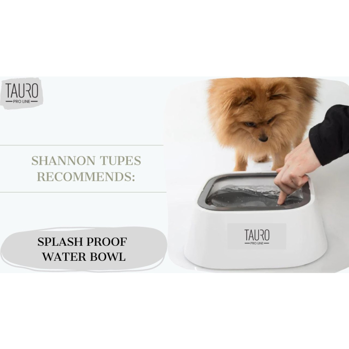 bowl for water - 10
