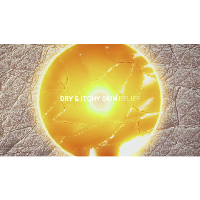 Derma Care Dry &amp; Itchy Skin Relief Shampoo for dogs and cats, relieving dry and itchy skin shampoo for dogs and cats - 4