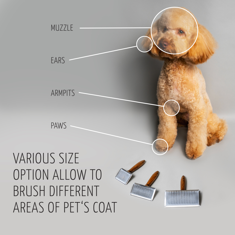 SIZE OPTION
