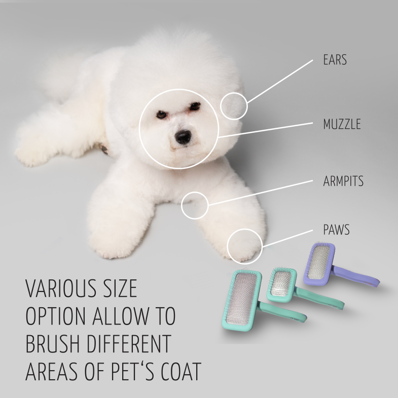 Size options