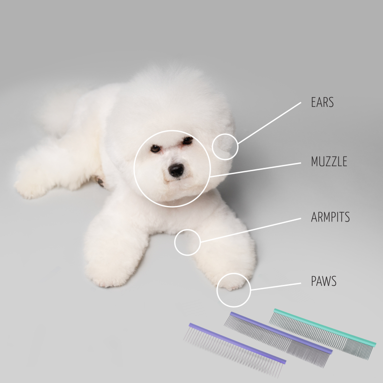TAILORED GROOMING FOR EVERY PET BODY