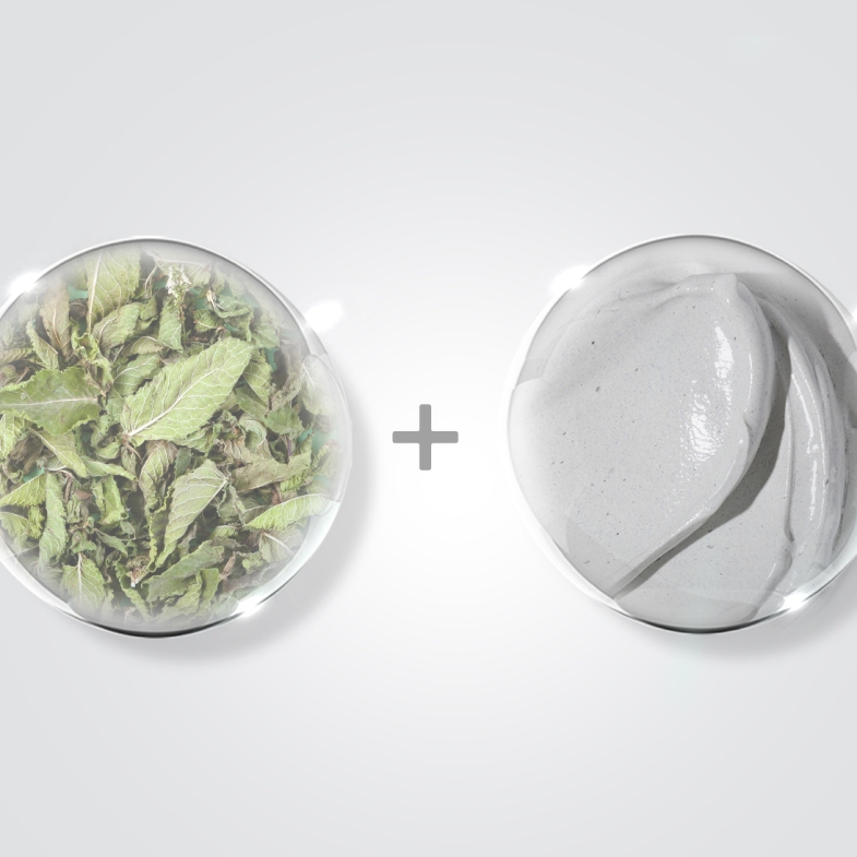 EFFECTIVE INGREDIENTS