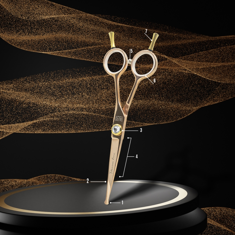 ANATOMY OF SCISSORS